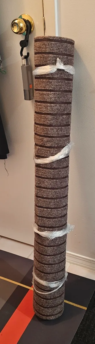 🇨🇦 Brown Striped Runner image indicator(3)