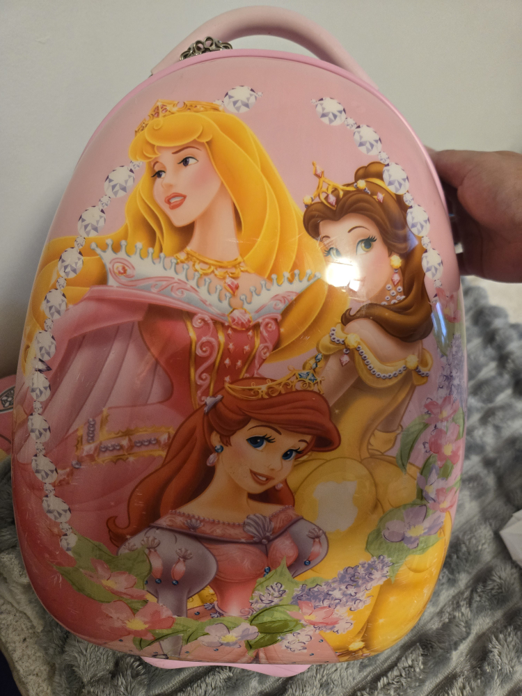 Kids Disney princess luggage
