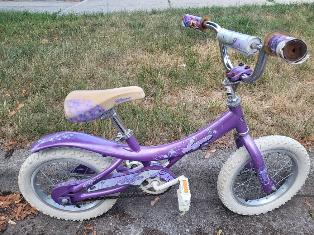14" Wheels Sayan Purple Kids Bike thumbnail