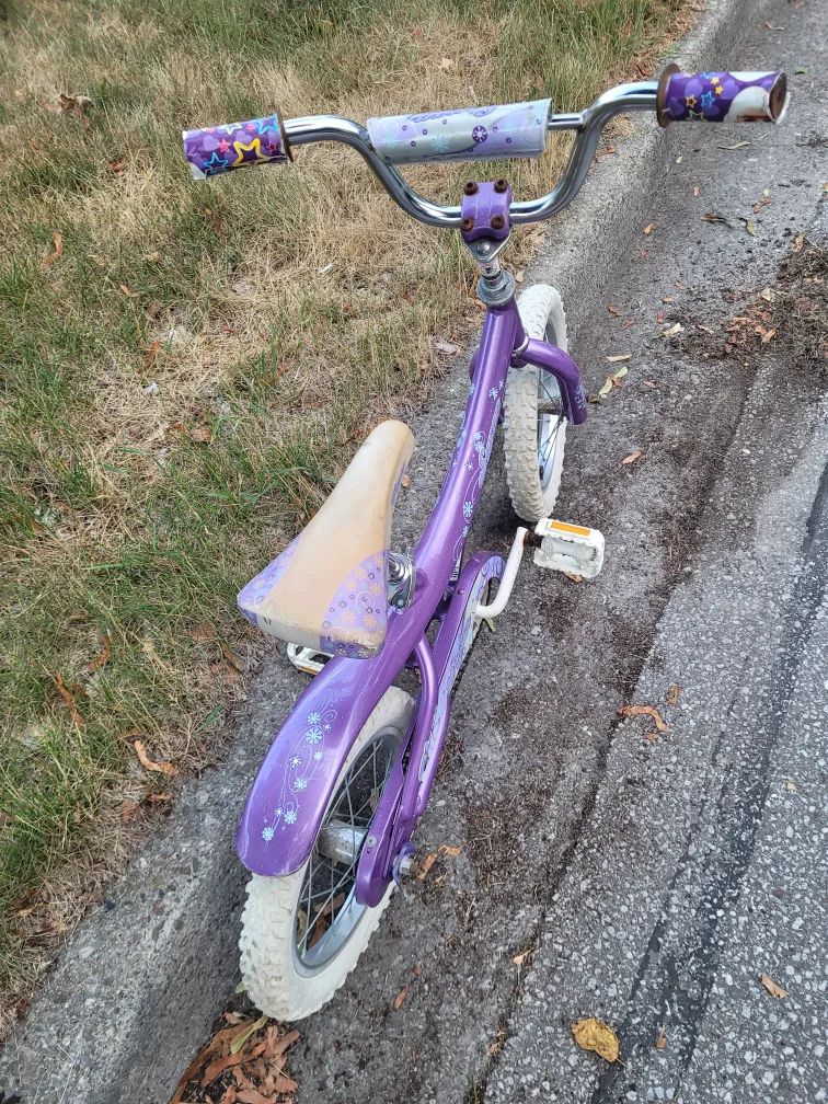 14" Wheels Sayan Purple Kids Bike image indicator(4)