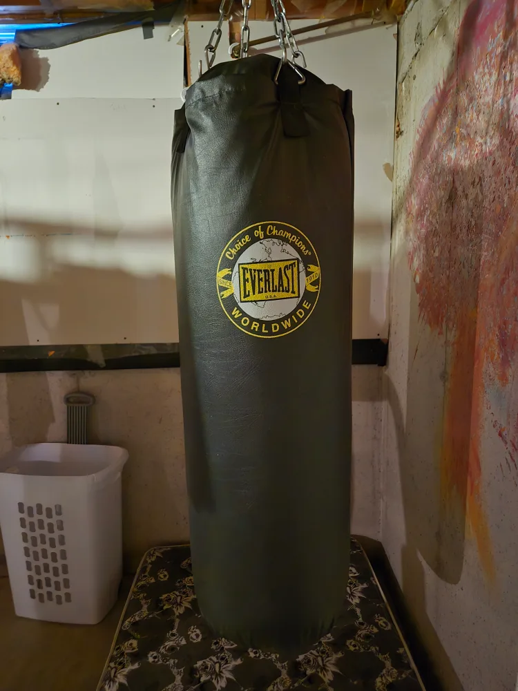 Everlast 100 pound heavy bag and chains. thumbnail