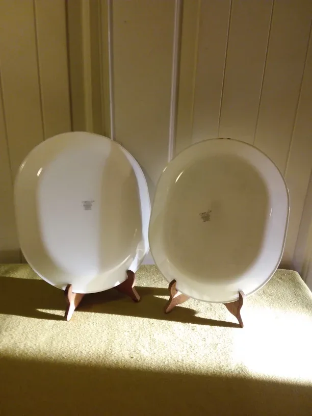 ➡️ Corelle Serving Platters (2) 🍛 image indicator(2)