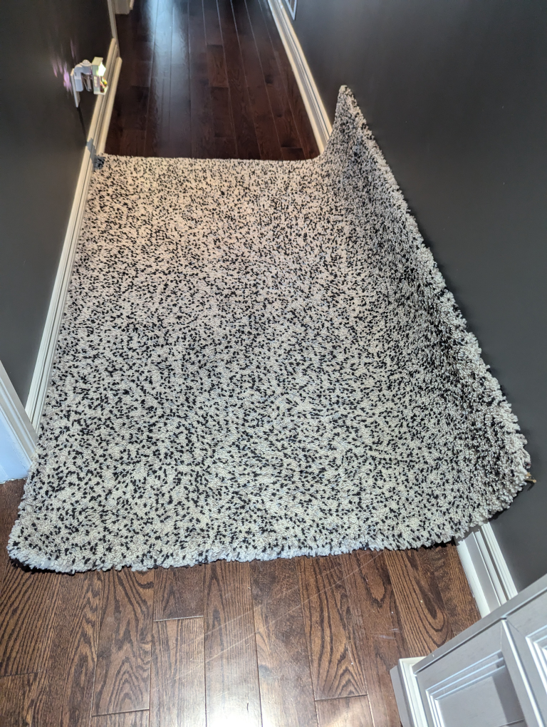 Shag Rug - Black and White