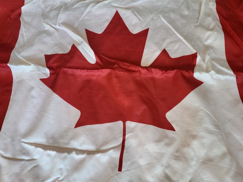 CANADA 🇨🇦 Fleecy Picnic Blanket image indicator(3)