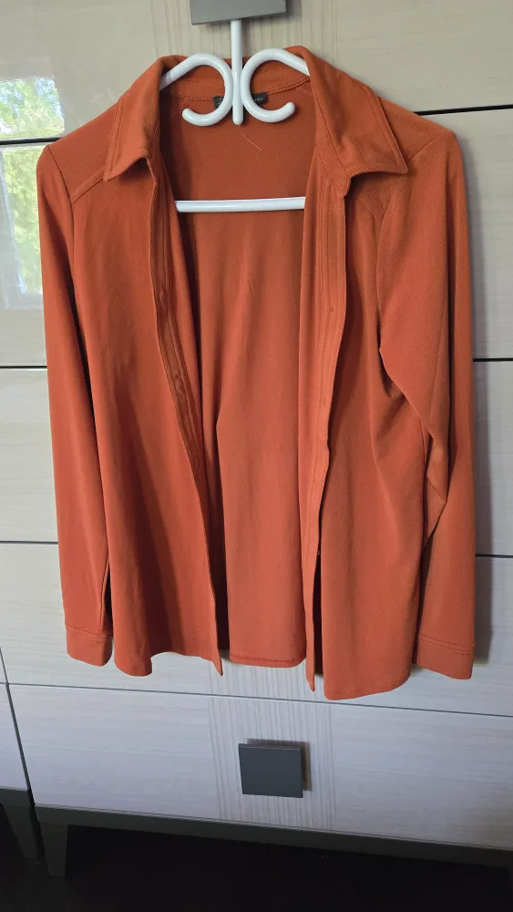 Orange Long Sleeve Blouse thumbnail