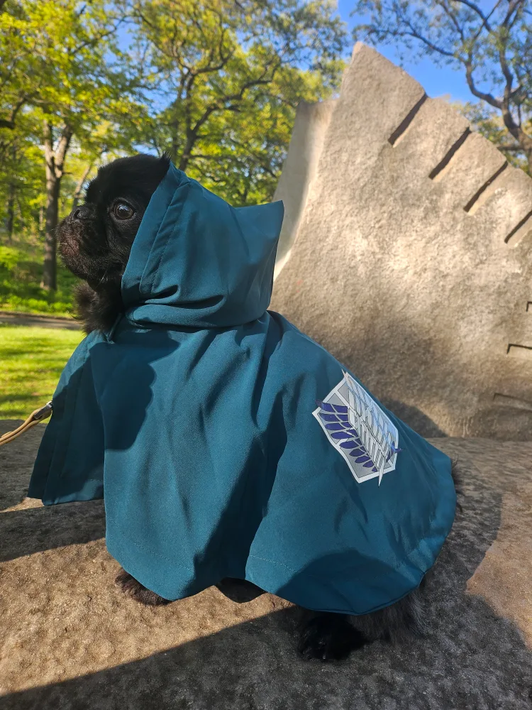 Attack on Titan Dog Cloak Cosplay thumbnail