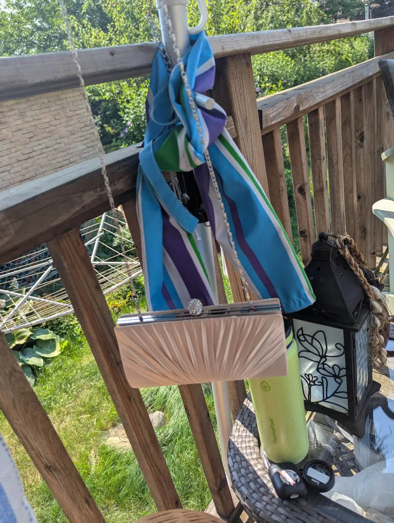 Charlie RSVP Evening Clutch - Champagne image indicator(5)