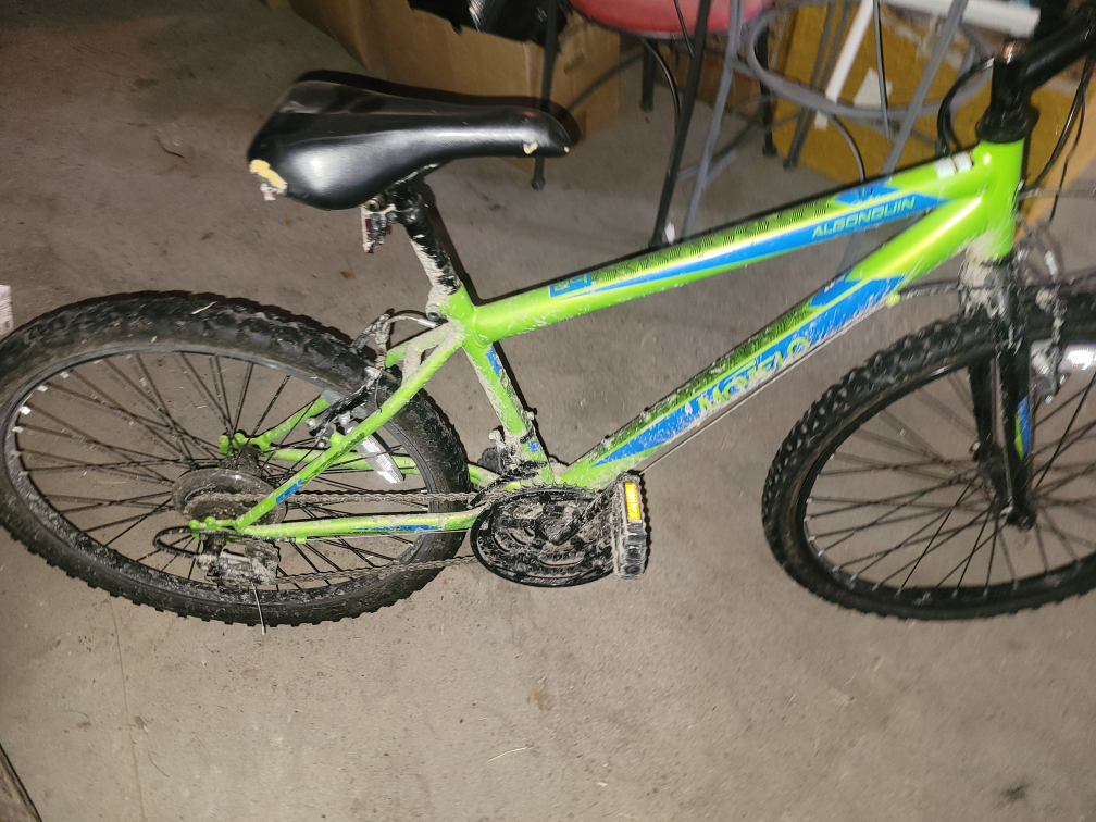 Mongoose Algonquin Green Bike