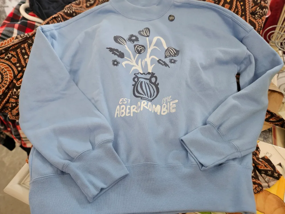 Abercrombie Kids Blue Sweatshirt Size 11/12 thumbnail