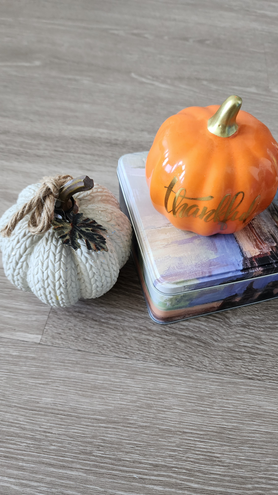 URGENT *Moving Sale* Succulent Plant, Planter & Pumpkins - photo 2