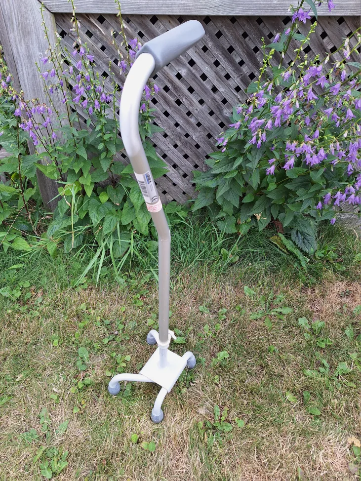 Lumex Offset Quad Cane - Silver 🇨🇦 (Kit Cat Club rescue) thumbnail