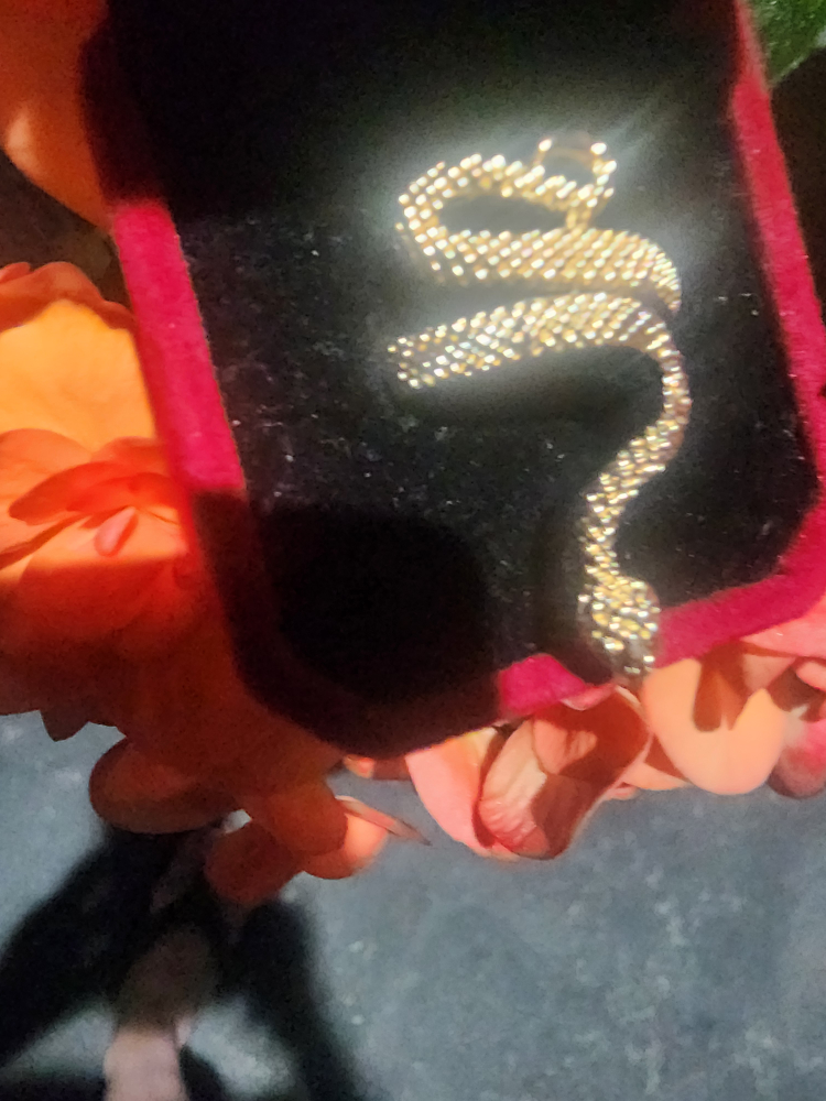 Snake Design Gold Tone ring
