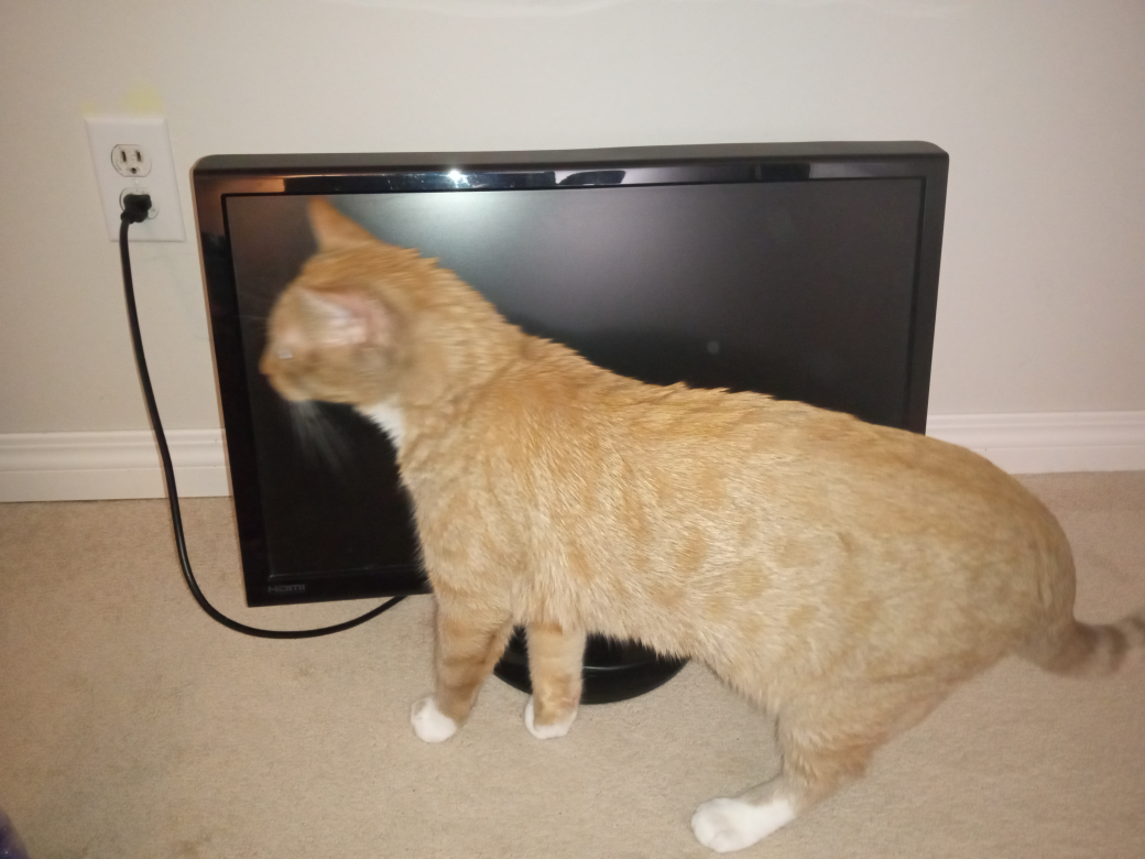 ASUS 23" LCD Monitor - photo 4
