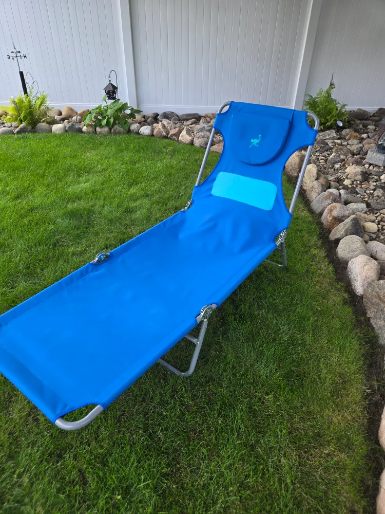 Ostrich Lounge Chaise - Blue thumbnail