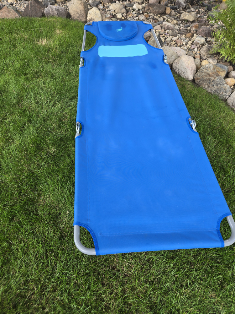 Ostrich Lounge Chaise - Blue - photo 2