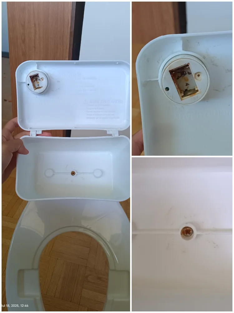 Regalo 2-in-1 My Little Potty Training Toilet image indicator(6)