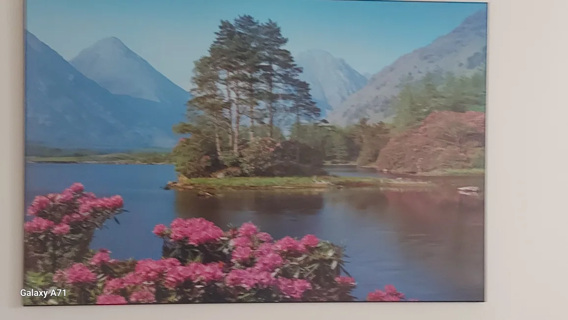 Framed Painting thumbnail