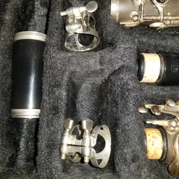 Roy Benson CB-317 Clarinet with Case image indicator(8)