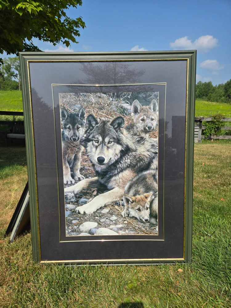 Framed Wolf Print image indicator(4)