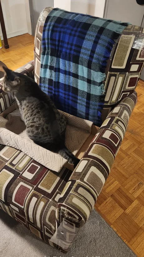 Patterned Armchair × 2 image indicator(6)