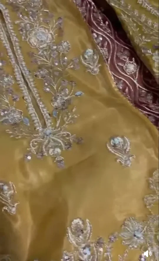 Gorgeous Yellow and Green Pakistani fancy dress image indicator(4)