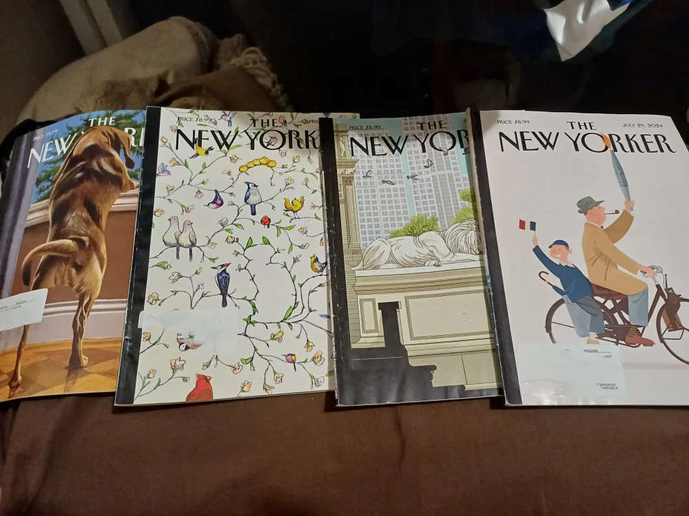 🇨🇦 Free: The New Yorker Magazines - Set of 4 thumbnail