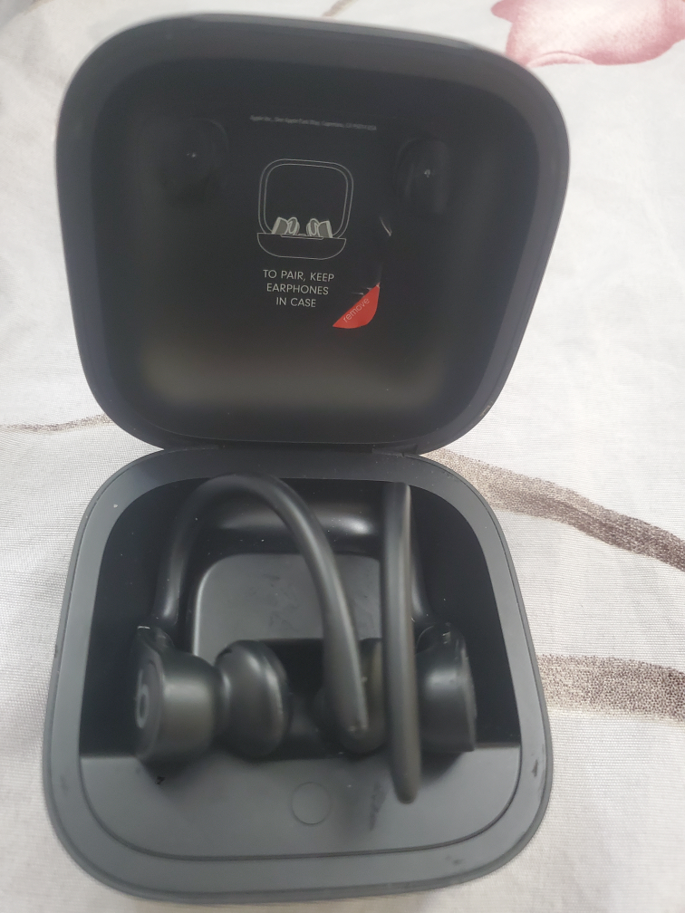 Beats Powerbeats Pro Wireless Earphones - Black - photo 5