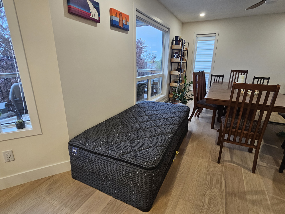 Sealy Twin Bed - photo 2