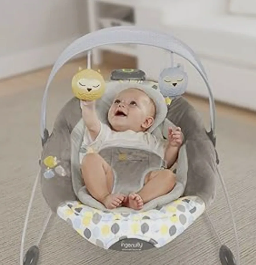 Ingenuity Automatic Bouncer thumbnail