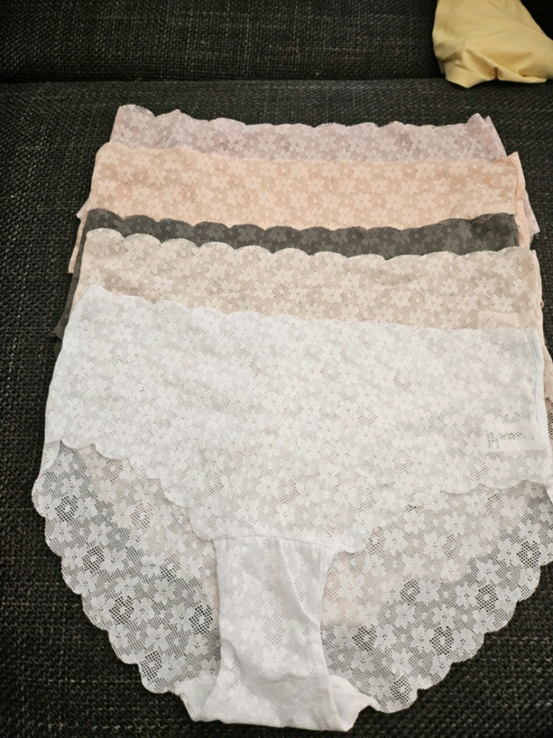 Culottes Wild Dream Taille L/G