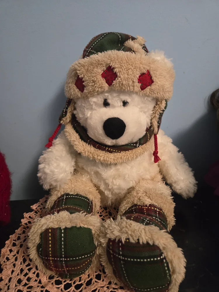 Winter Bear Plush Toy thumbnail