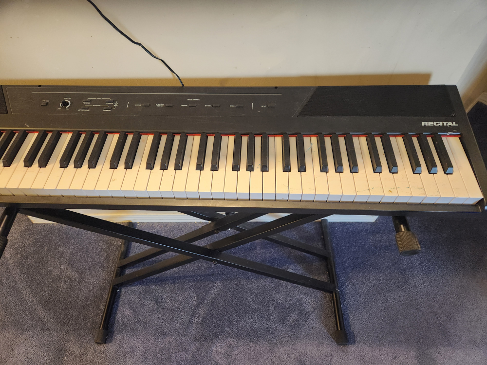 Alesis Recital Digital Piano - photo 3