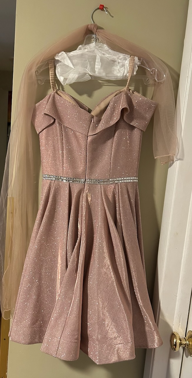 Dancing Queen Pink Sparkly Dress - photo 2