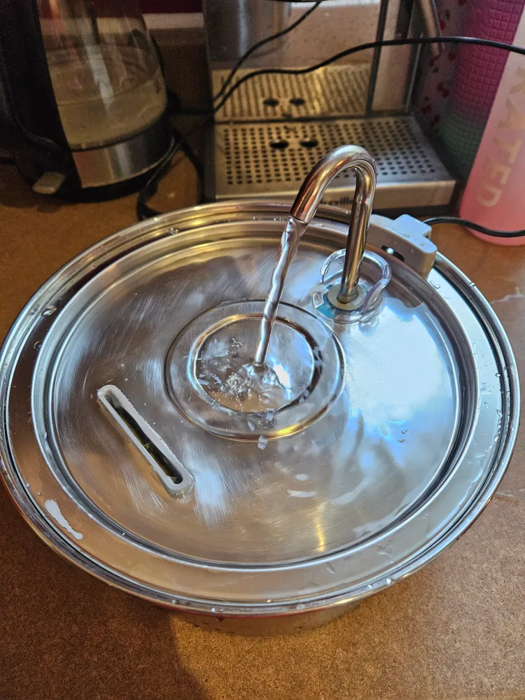 Stainless Steel Pet Water Fountain Cat or small Dog thumbnail