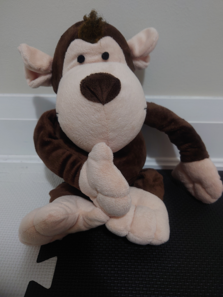 Monkey Plush Toy