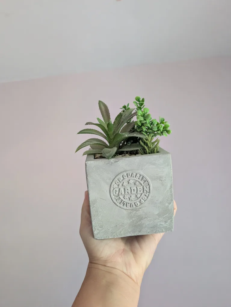 Artificial Succulent in Cement Pot 🇨🇦 thumbnail