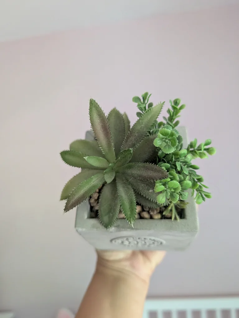 Artificial Succulent in Cement Pot 🇨🇦 image indicator(2)