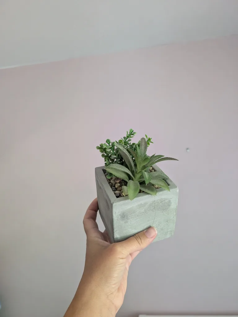 Artificial Succulent in Cement Pot 🇨🇦 image indicator(3)