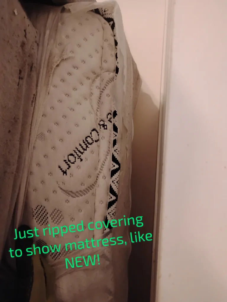 **EVERYTHING $20! MUST GO!** image indicator(7)