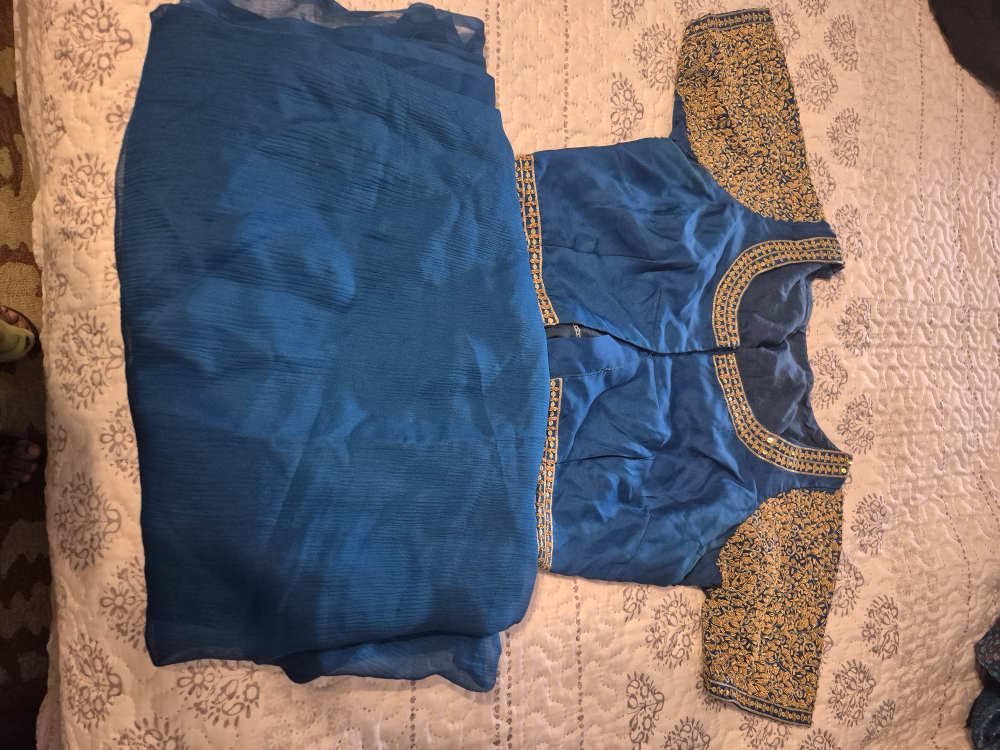 Saari with embroidered blouse