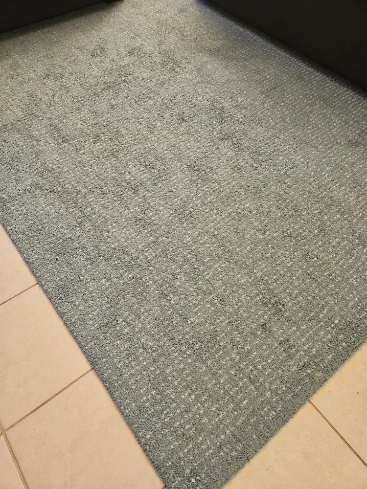 Area Rug thumbnail