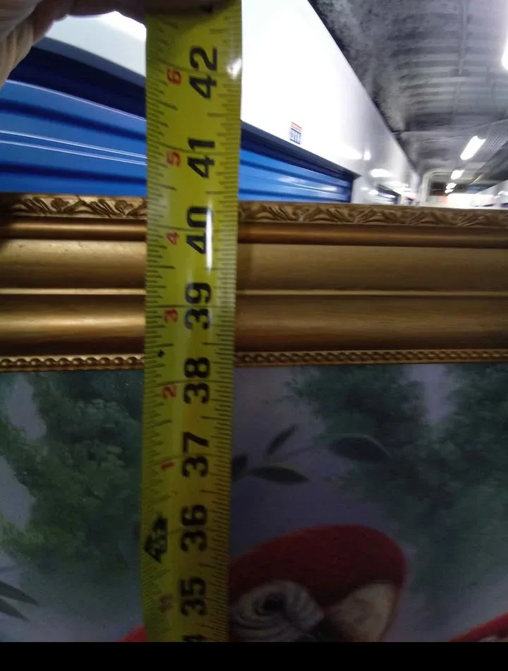 Parrot Print with Gold Frame & Touch Up Kit image indicator(7)