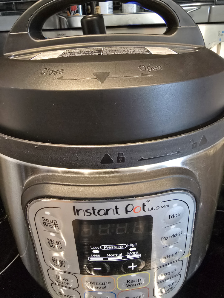 Instant Pot Duo Mini