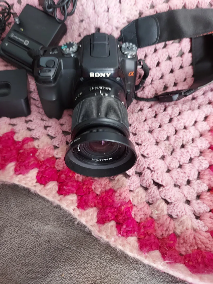 Sony Alpha DSLR Camera image indicator(2)