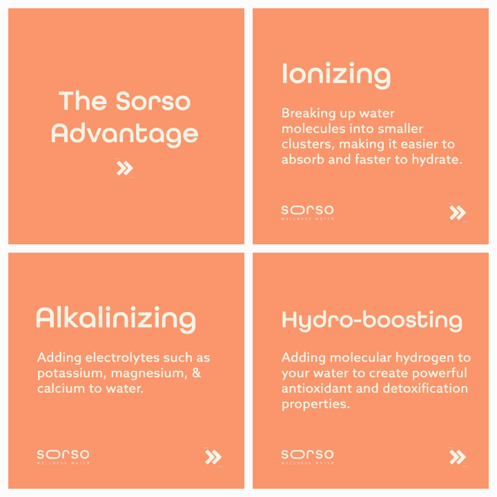 Sorso Wellness Water System - photo 4