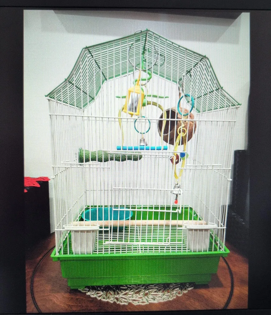 Bird Cage image indicator(2)
