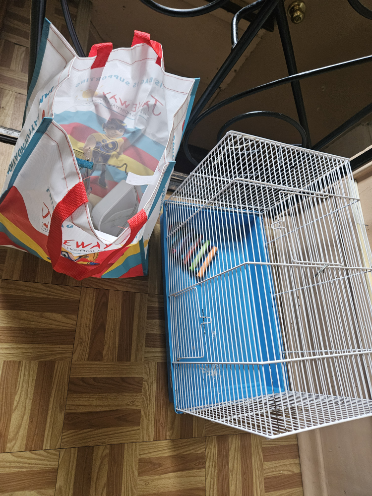 Small bird cage