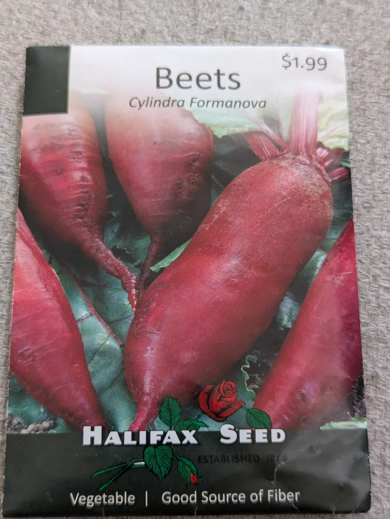 Halifax Seed Beets Cylindra Formanova thumbnail