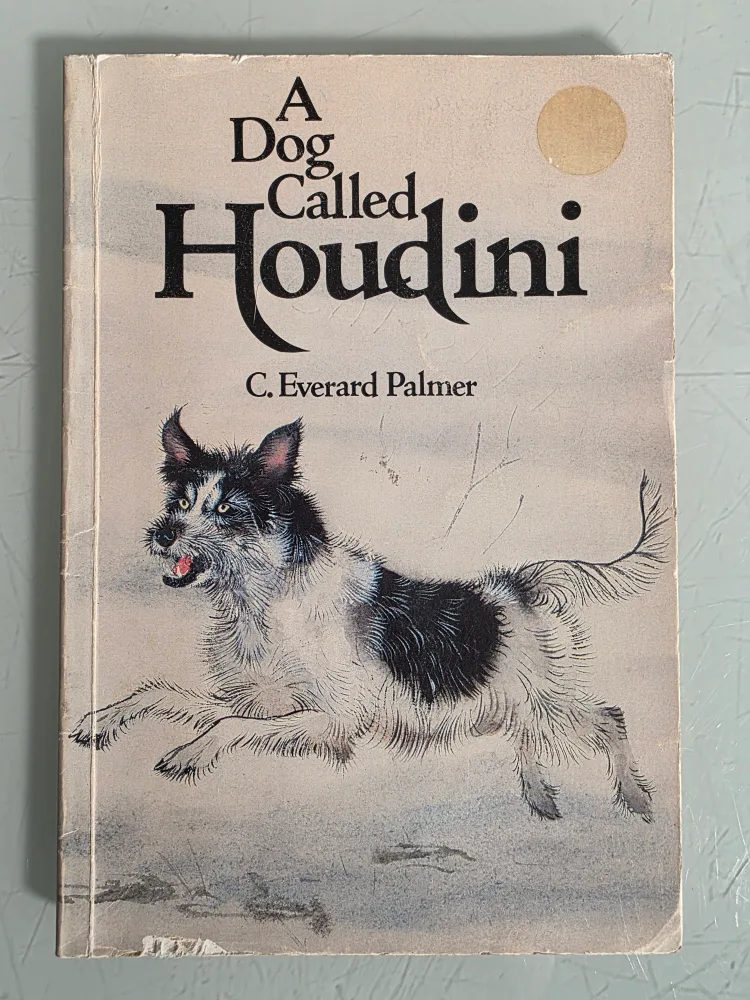 A Dog Called Houdini by C. Everard Palmer thumbnail