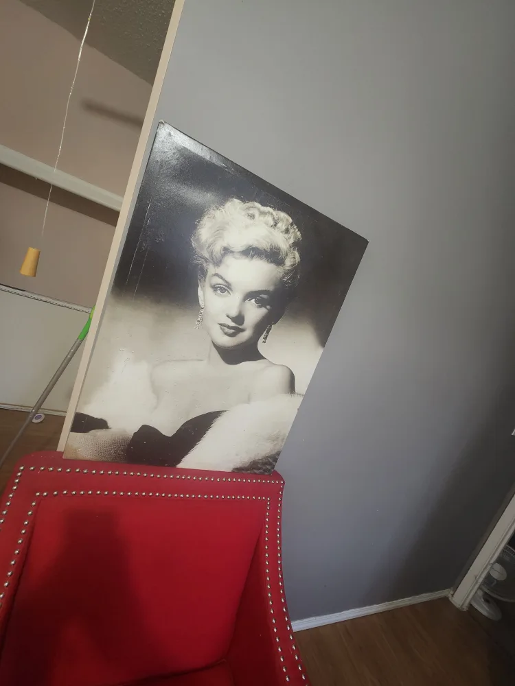 $20 Marliyn Monroe canvas B&W 🇨🇦 thumbnail